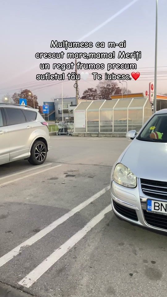 TikTok video thumbnail by rares_ygn
