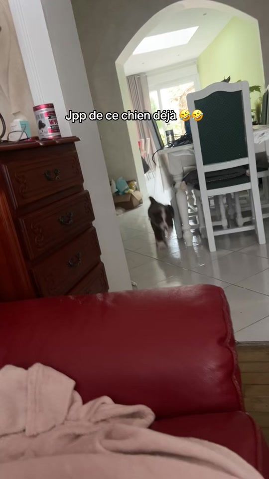 TikTok video thumbnail by zeikoww
