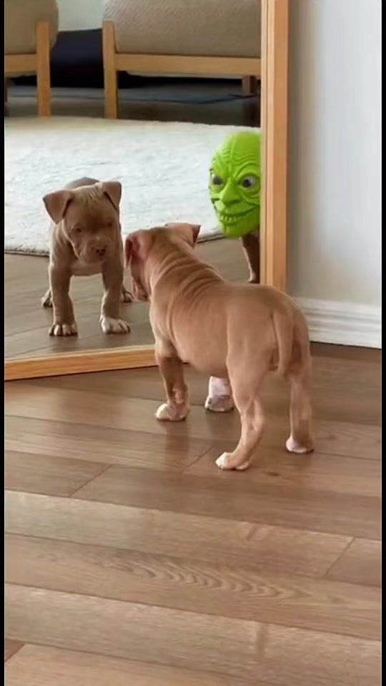 TikTok video thumbnail by angyalfold2