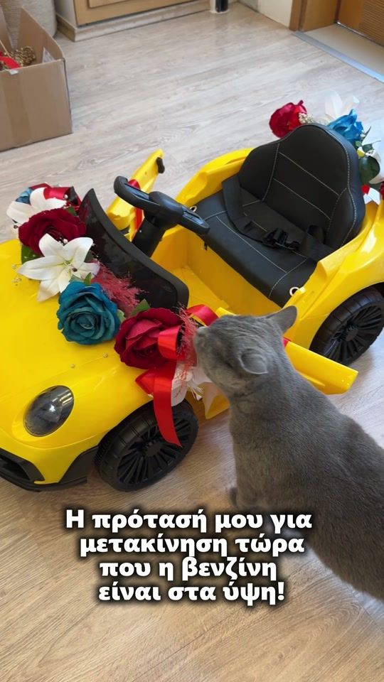 TikTok video thumbnail by siba.roman.concla