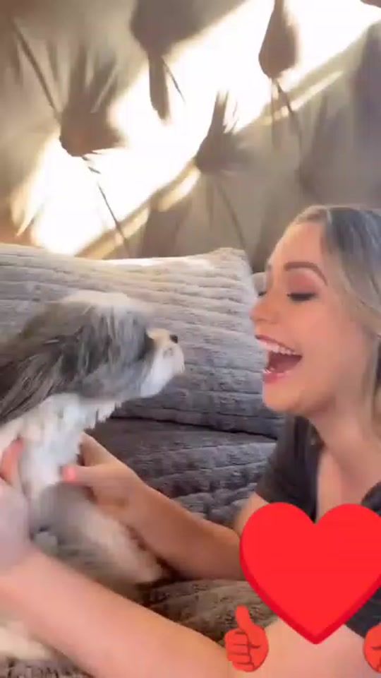 TikTok video thumbnail by 229biba