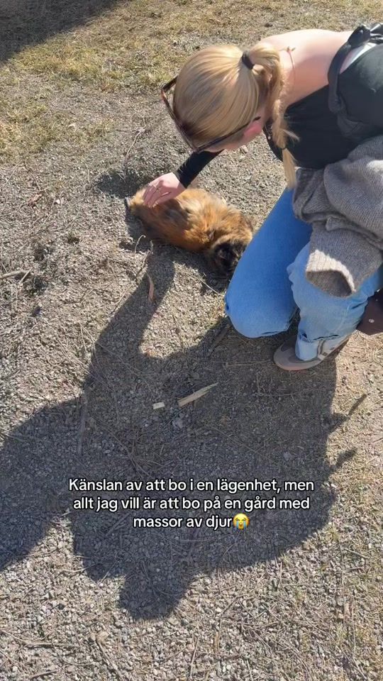 TikTok video thumbnail by hegardh