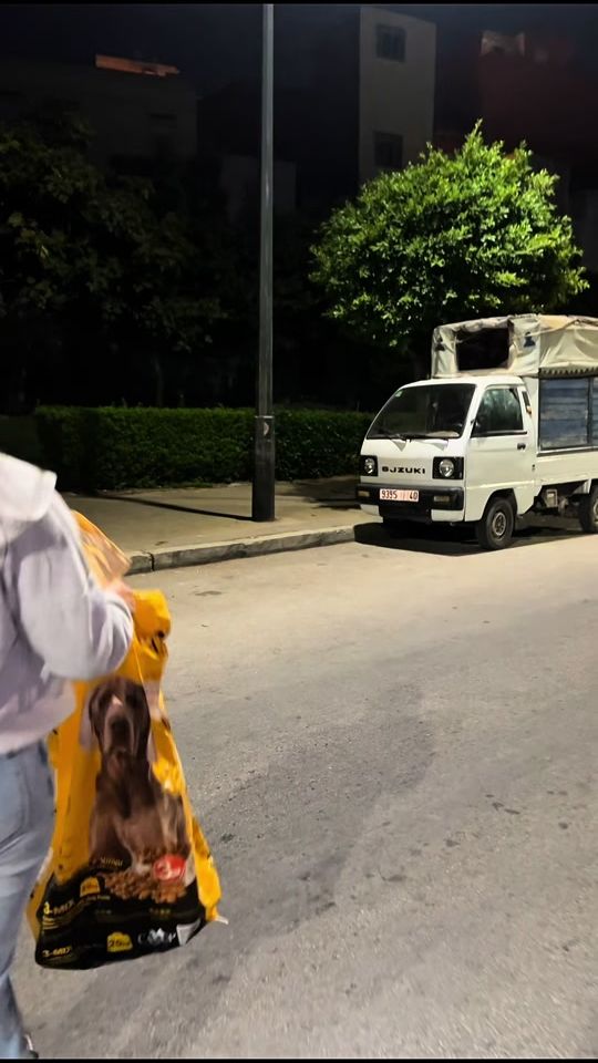 TikTok video thumbnail by dogmentality.fr