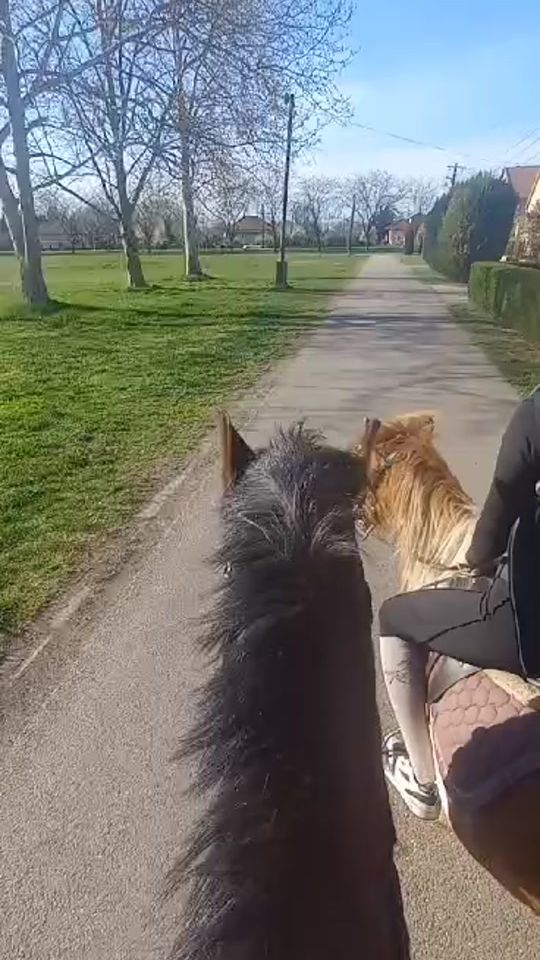 TikTok video thumbnail by hencsyke8