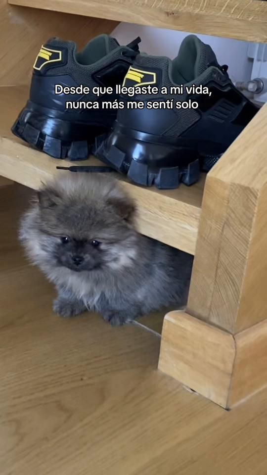 TikTok video thumbnail by andymcdougall