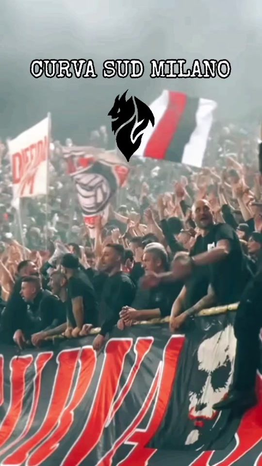 TikTok video thumbnail by rio__7___