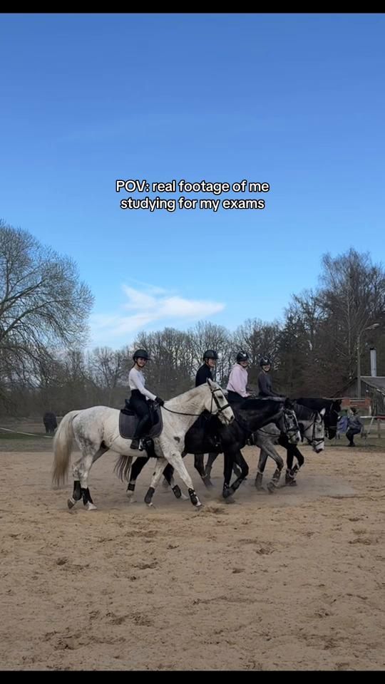 TikTok video thumbnail by mona_vitolina
