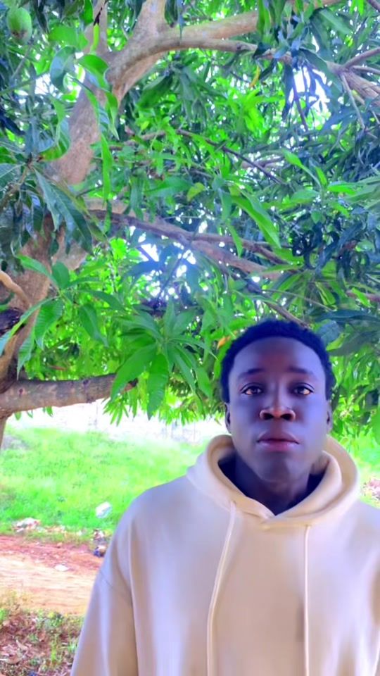 TikTok video thumbnail by alexlebarons.1