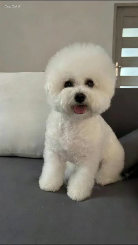 TikTok video thumbnail by bohunka.b