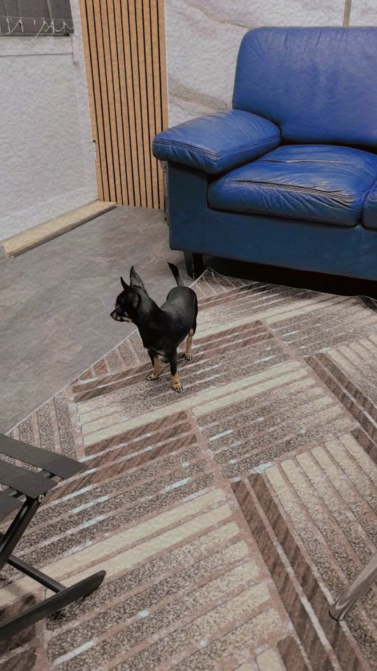 TikTok video thumbnail by barvalotoivanov