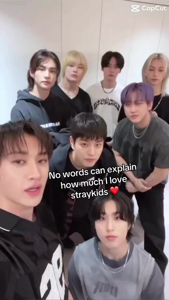 TikTok video thumbnail by lailaf147