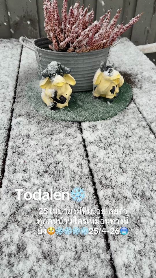 TikTok video thumbnail by mnk791