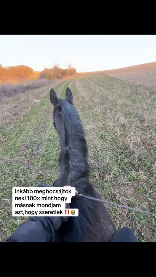 TikTok video thumbnail by vani_molnar