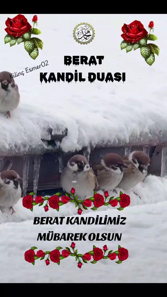TikTok video thumbnail by kilinc.esmer.02