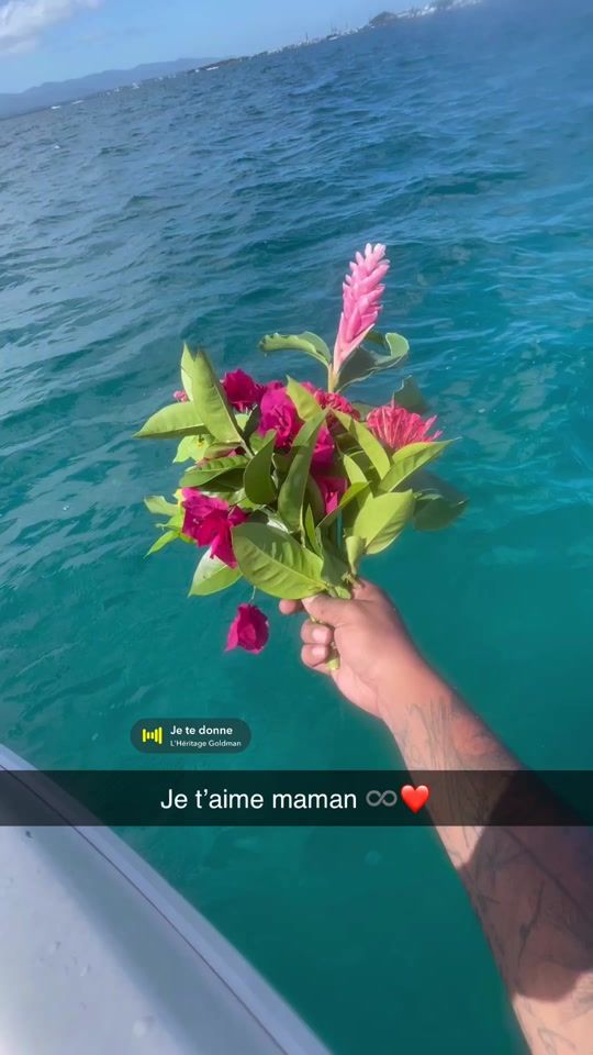 TikTok video thumbnail by sylvainrenard22