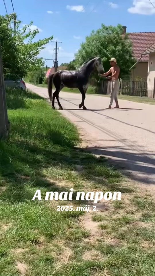 TikTok video thumbnail by j_laszlo