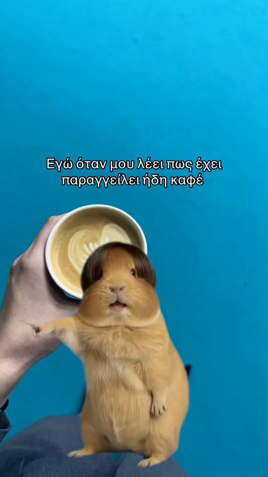 TikTok video thumbnail by nansysr