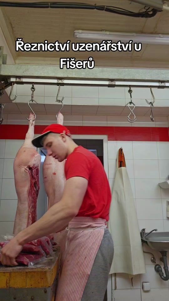 TikTok video thumbnail by _zdenek_fiser_