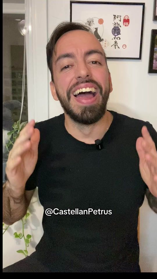 TikTok video thumbnail by castellanpetrus