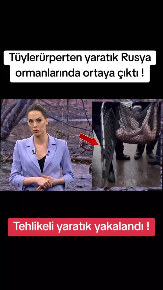 TikTok video thumbnail by kanal_b_deutschland