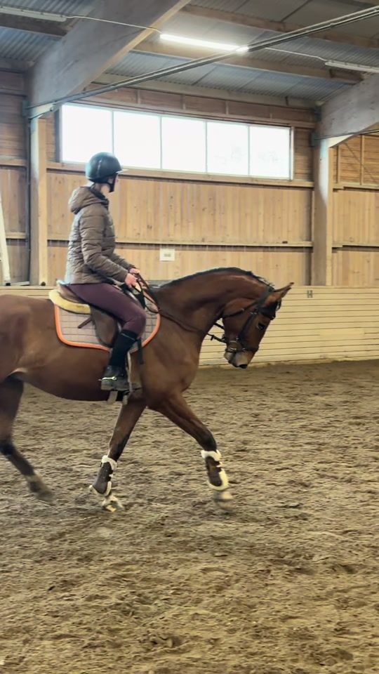 TikTok video thumbnail by equi.linnea