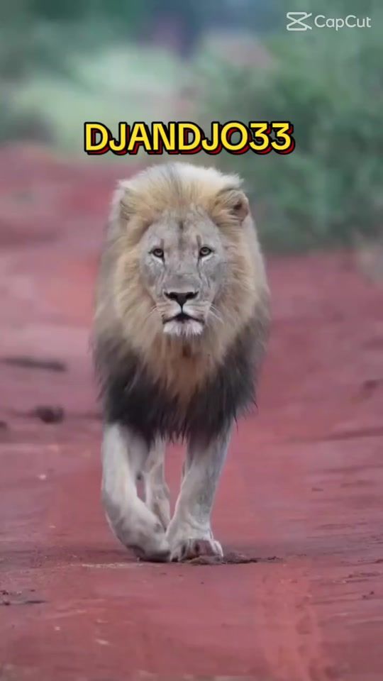 TikTok video thumbnail by djandjo33