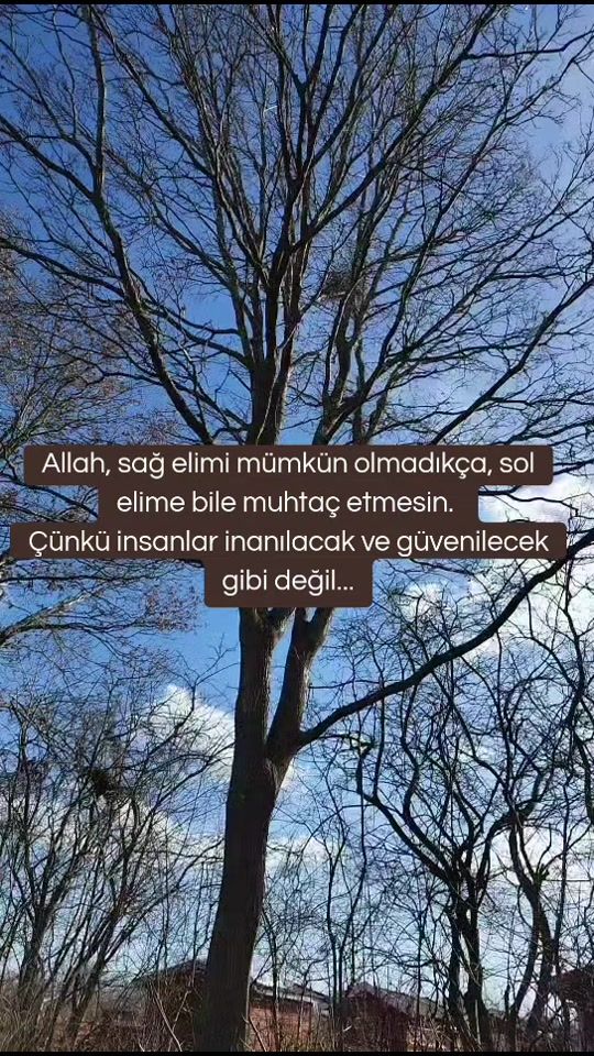 TikTok video thumbnail by what_dedin_gulum64