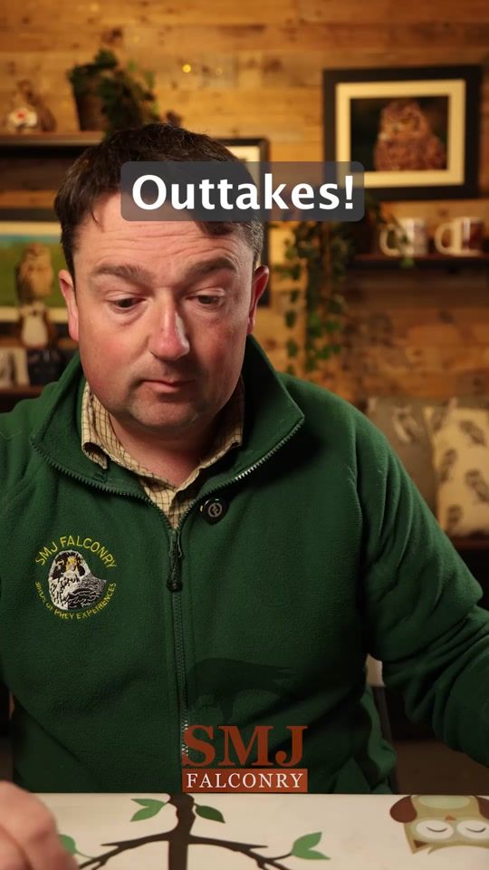 TikTok video thumbnail by smjfalconry