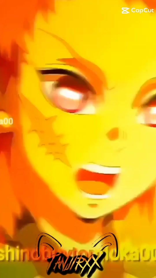TikTok video thumbnail by shinobuytomioka00