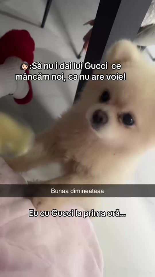 TikTok video thumbnail by bitaaa.25