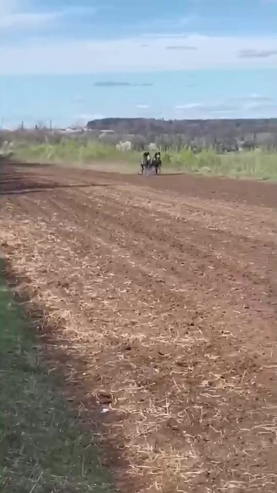 TikTok video thumbnail by niyazi_saliev