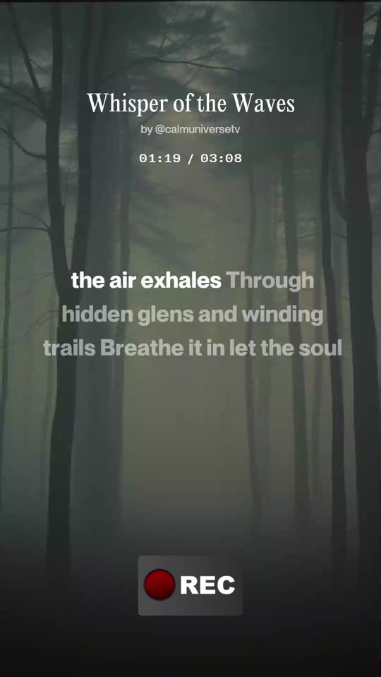 TikTok video thumbnail by calmuniversetv1
