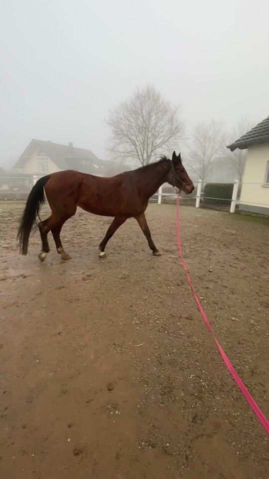 TikTok video thumbnail by alida_mxn
