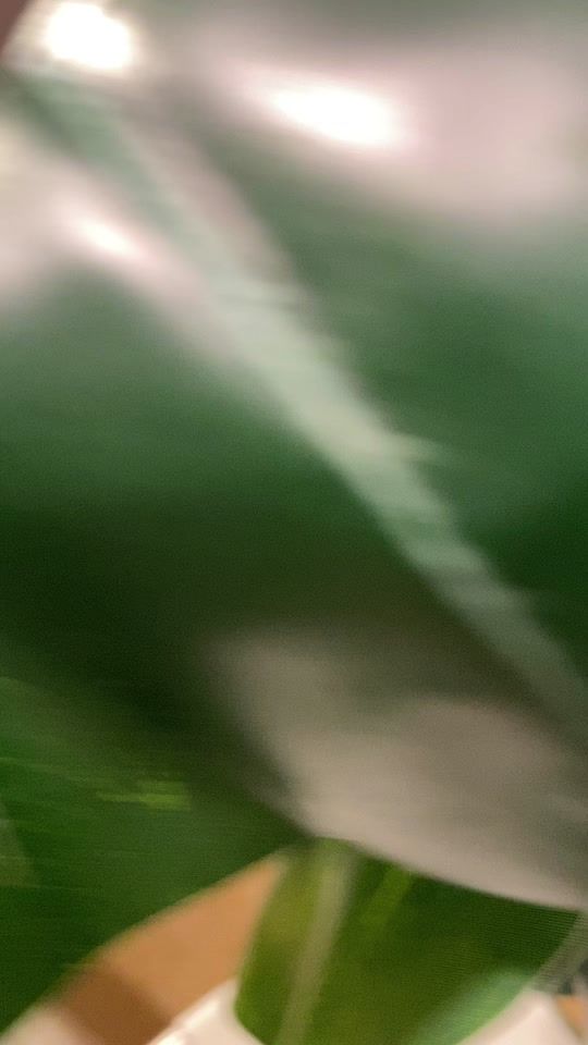 TikTok video thumbnail by lil.deygy