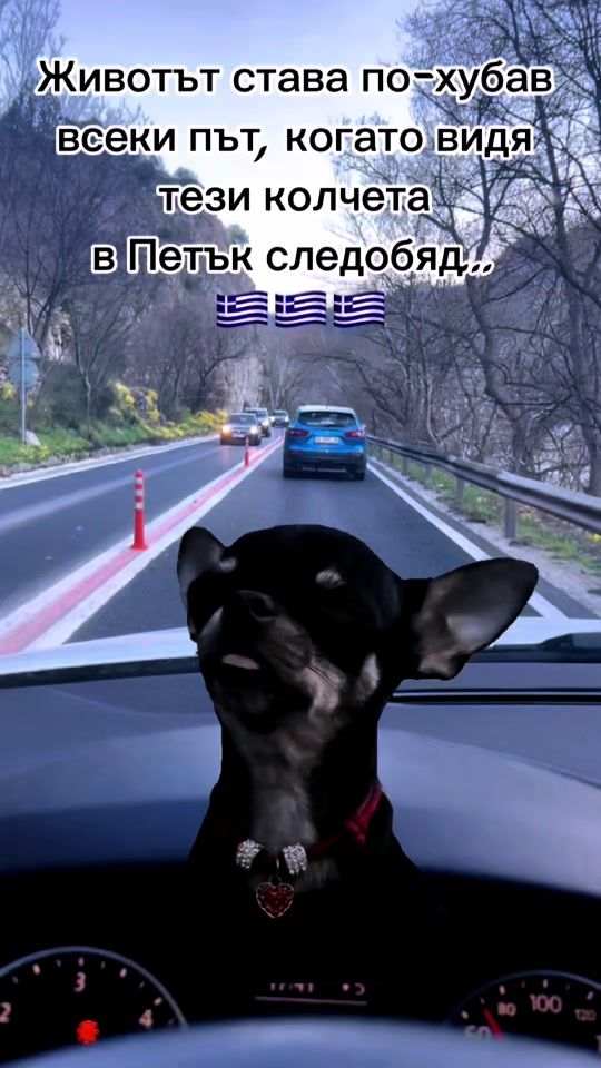 TikTok video thumbnail by stellapetseva