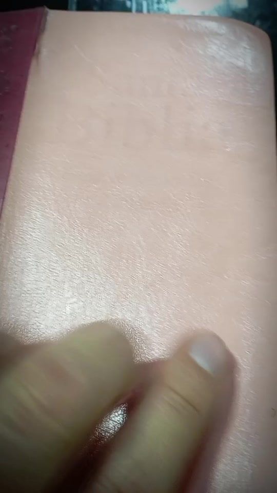 TikTok video thumbnail by celikatavita