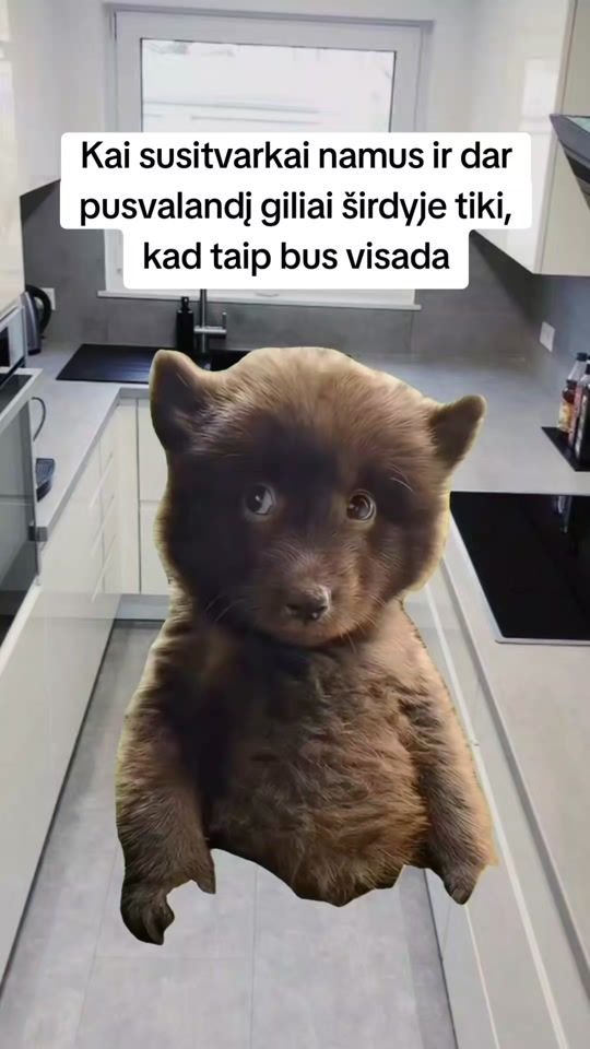 TikTok video thumbnail by kotleteliss