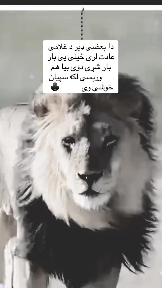 TikTok video thumbnail by a__l__i430