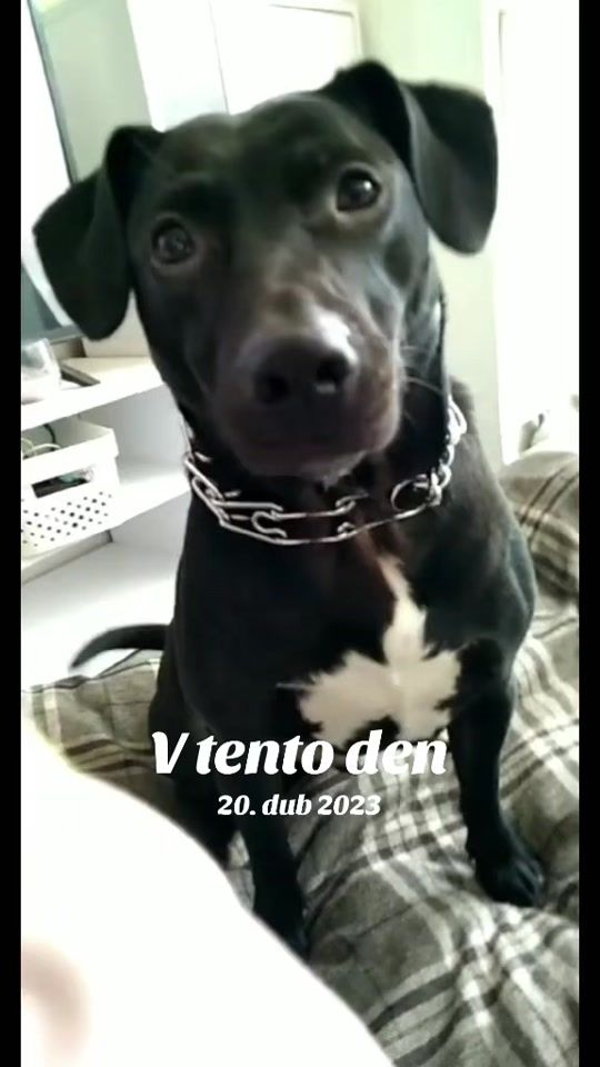 TikTok video thumbnail by nicolkaa_01