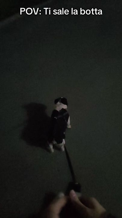 TikTok video thumbnail by cupidoandluke