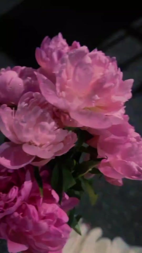 TikTok video thumbnail by its.sashi84