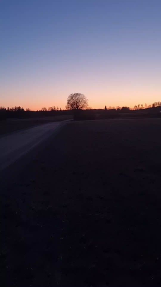 TikTok video thumbnail by mersu_vend