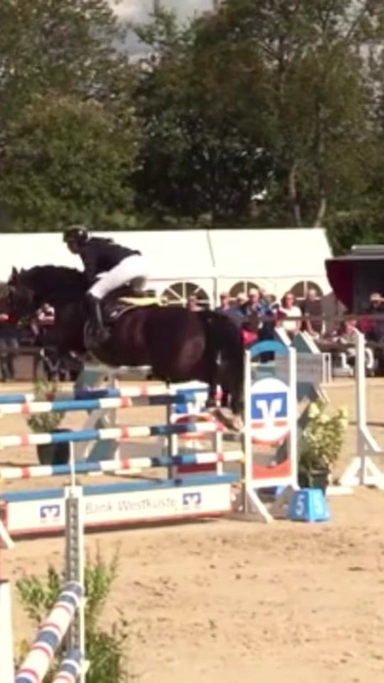 TikTok video thumbnail by ms_showjumping