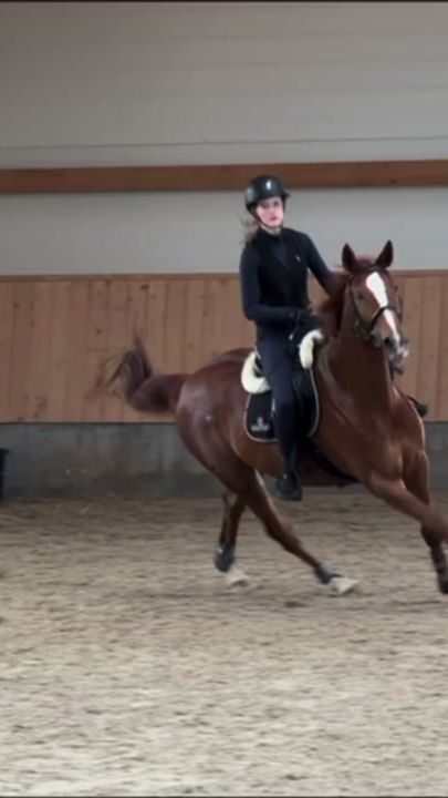 TikTok video thumbnail by esab.showjumping