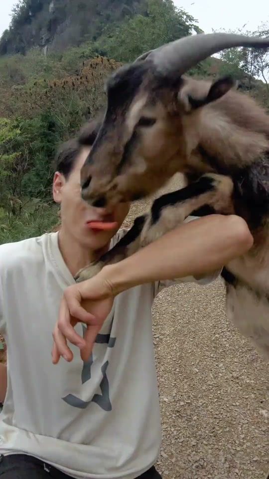 TikTok video thumbnail by milk.2710