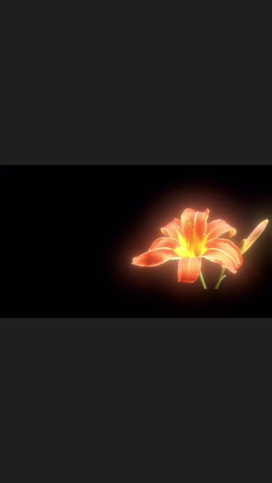 TikTok video thumbnail by rss.roby