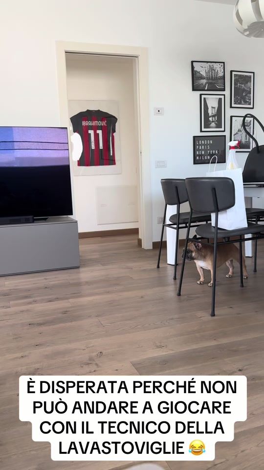 TikTok video thumbnail by alessiomarinoni86