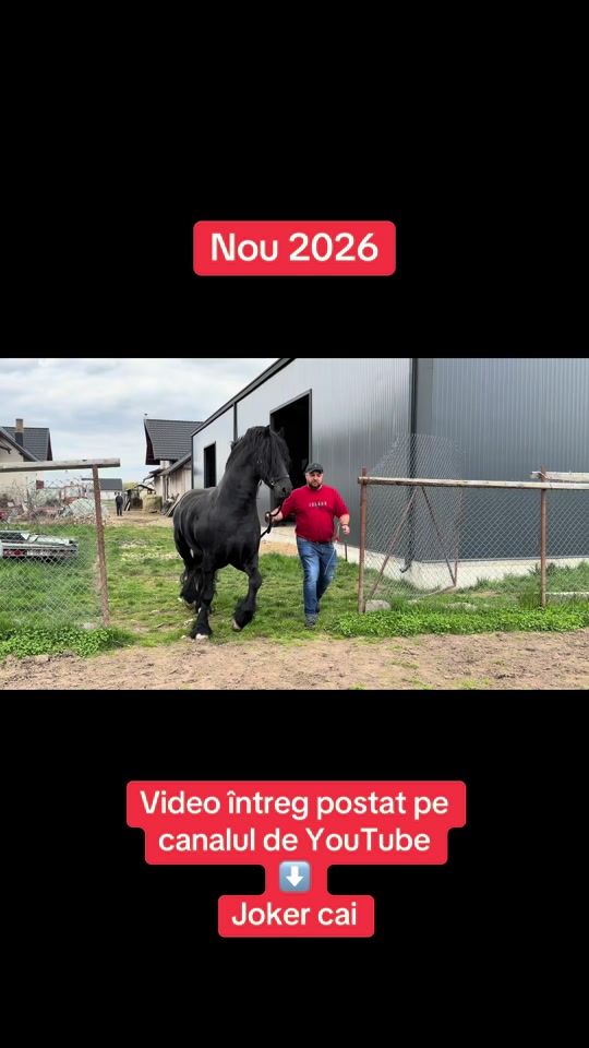 TikTok video thumbnail by joker.cai
