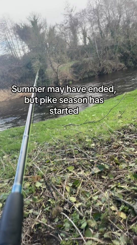 TikTok video thumbnail by stormzyfishz
