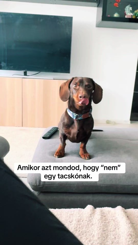 TikTok video thumbnail by link_tacsi